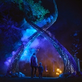 Mom walking toddler through lights display.