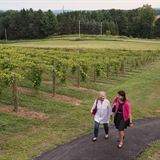 A trolley stops at a local vineyard.