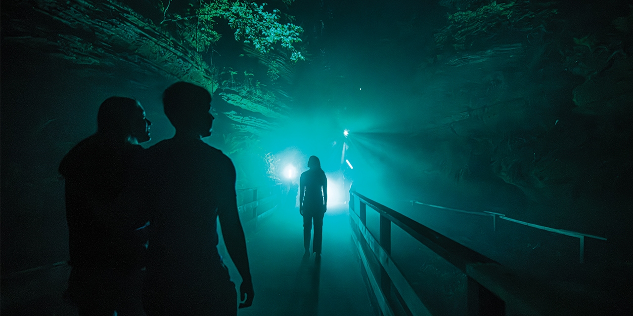 A silhouette of a person in a foggy green canyon.