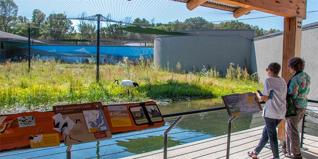 International Crane Foundation Exhibit.