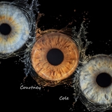 Art pieces with irises and text.