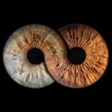 Two irises forming infinity symbol.