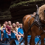 Guests look at the unique rock formations throughout Wisconsin Dells.
