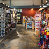 Interior picture with souvenir displays.