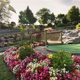 The Pirate's Cove landscape with beautiful flowers.