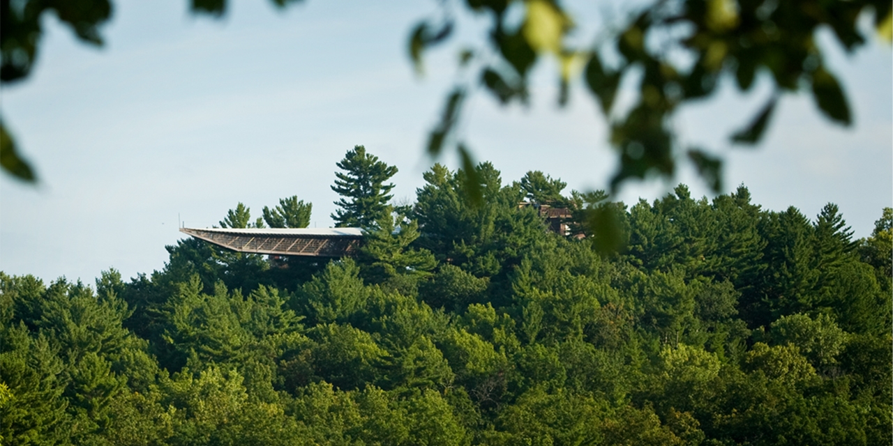 The House on the Rock in the forest.