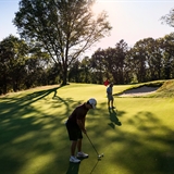 Golfers on the green.