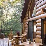 Outdoor patio with chairs and tables overlooking wooded forest.