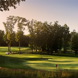 A golfer on the green.