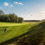 A golfer hits their ball onto the green.