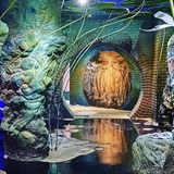 An underwater area at Wizard Quest.